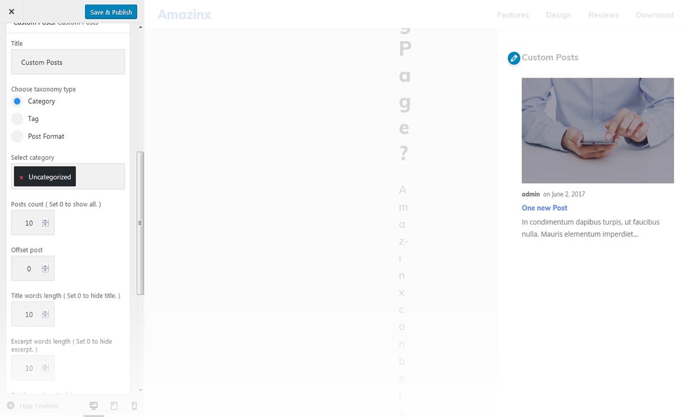 Custom posts