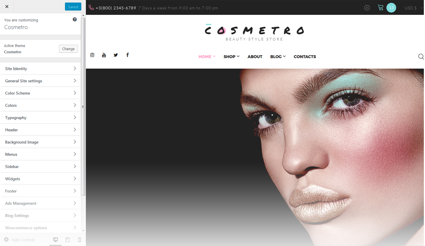 Customizer Screen
