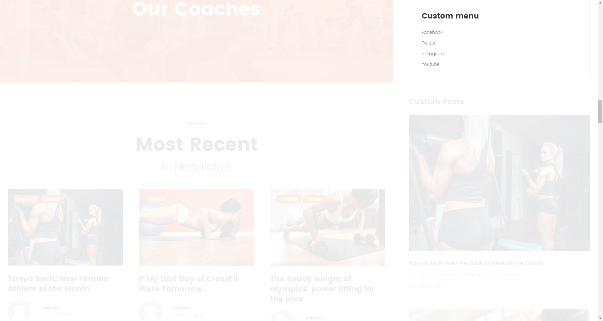 Custom Menu widget