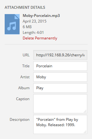 Audio Attachment Details