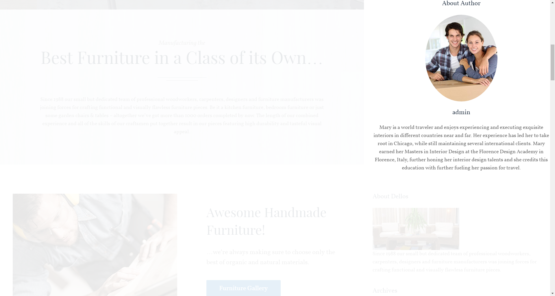 About Author widget