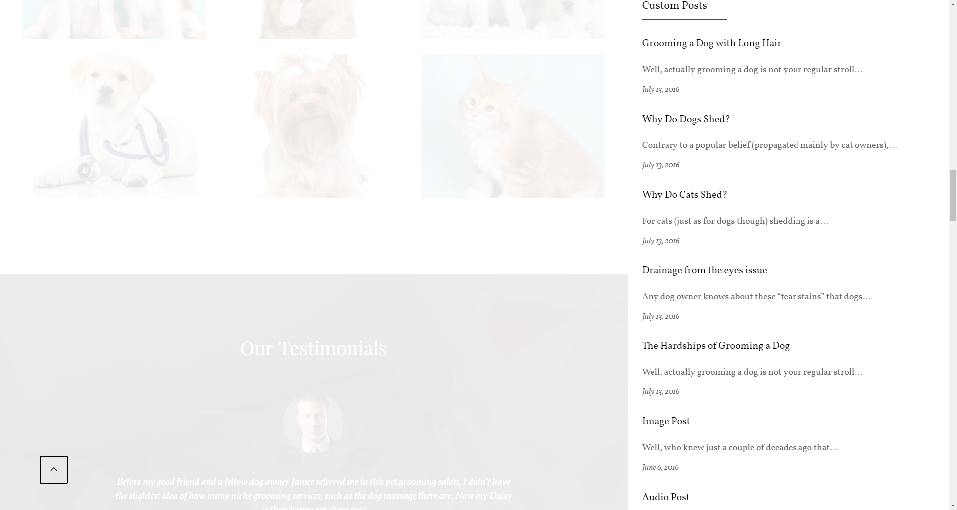 Furry – WordPress Theme