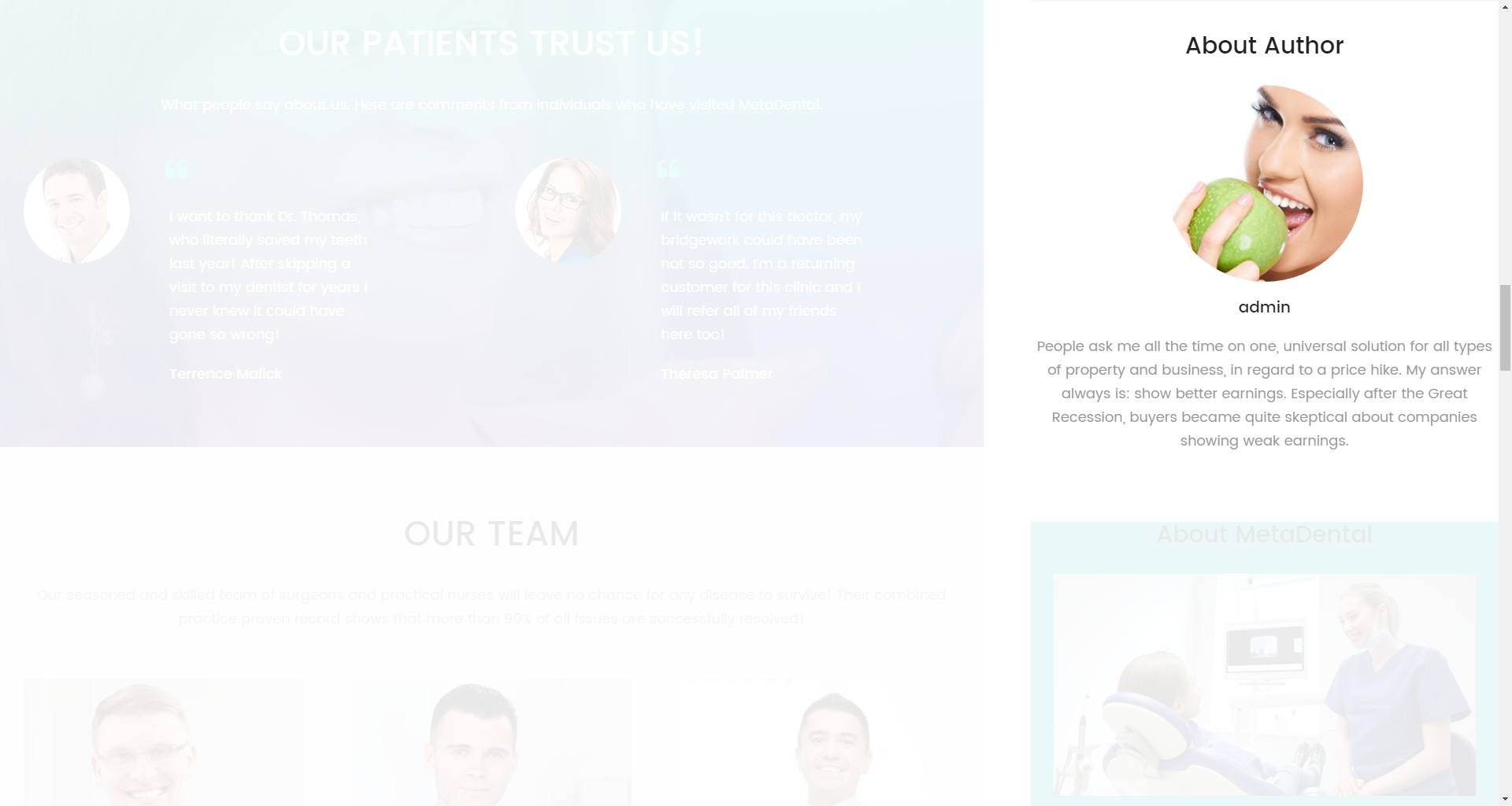 About Author widget